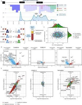 Impact of COVID-19, lockdowns and vaccination on immune responses in a HIV cohort in the Netherlands